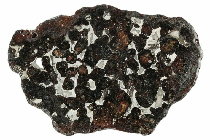 Sericho Pallasite Meteorite ( g) Slice - Kenya #346472